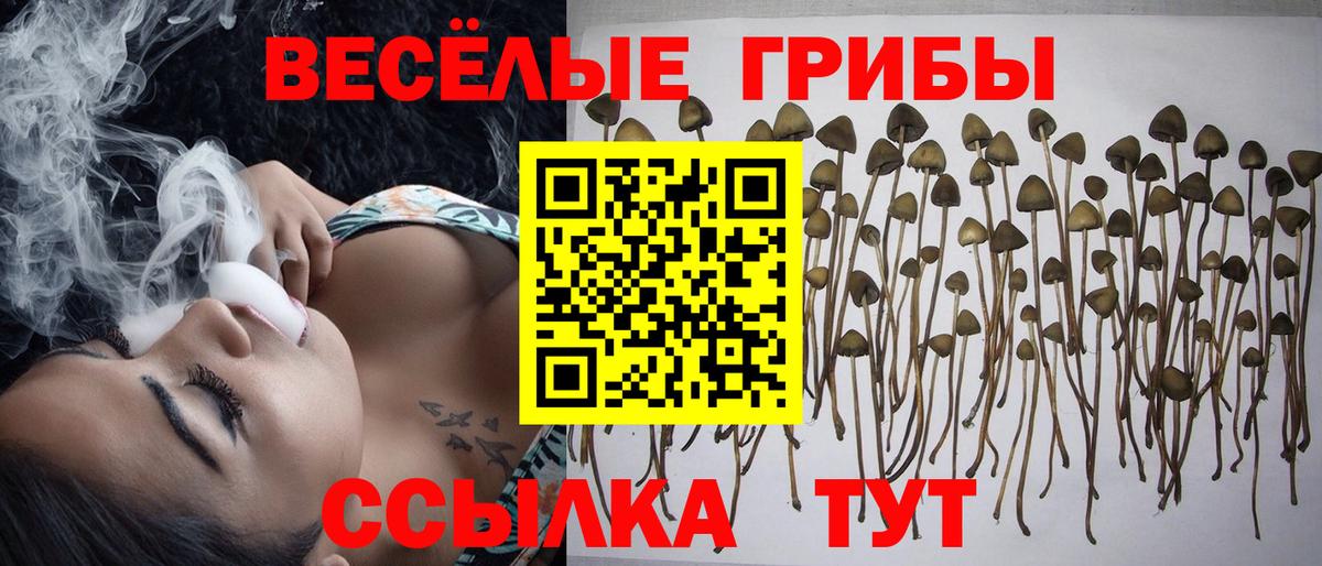 Галлюциногенные грибы мухоморы Сертолово