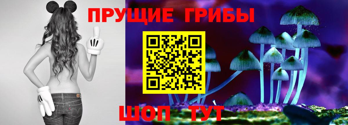 Псилоцибиновые грибы Psilocybine cubensis  Вход с VPN  Сертолово 